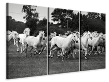 Laden Sie das Bild in den Galerie-Viewer, Leinwandbild 3-teilig Die Mustang Herde