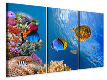Laden Sie das Bild in den Galerie-Viewer, Leinwandbild 3-teilig Fisch im Wasser