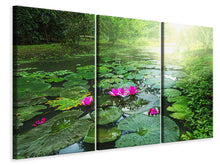 Laden Sie das Bild in den Galerie-Viewer, Leinwandbild 3-teilig Gartenteich