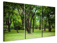 Laden Sie das Bild in den Galerie-Viewer, Leinwandbild 3-teilig Kirschbaum-Garten