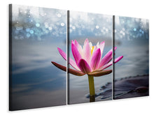Laden Sie das Bild in den Galerie-Viewer, Leinwandbild 3-teilig Lotus im Morgentau
