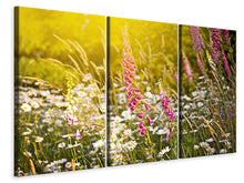 Laden Sie das Bild in den Galerie-Viewer, Leinwandbild 3-teilig Sommerliche Blumenwiese
