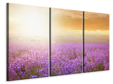 Laden Sie das Bild in den Galerie-Viewer, Leinwandbild 3-teilig Sonnenuntergang beim Lavendelfeld