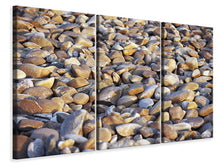 Laden Sie das Bild in den Galerie-Viewer, Leinwandbild 3-teilig Strandsteine