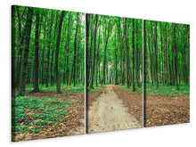 Laden Sie das Bild in den Galerie-Viewer, Leinwandbild 3-teilig Tannenwald