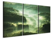Laden Sie das Bild in den Galerie-Viewer, Leinwandbild 3-teilig Über den Wäldern