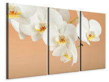 Laden Sie das Bild in den Galerie-Viewer, Leinwandbild 3-teilig Weisse Orchideenblüten