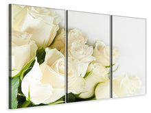 Laden Sie das Bild in den Galerie-Viewer, Leinwandbild 3-teilig Weisse Rosen