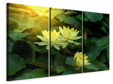 Laden Sie das Bild in den Galerie-Viewer, Leinwandbild 3-teilig Wilde Lotus