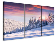 Laden Sie das Bild in den Galerie-Viewer, Leinwandbild 3-teilig Winterlandschaft