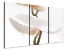 Laden Sie das Bild in den Galerie-Viewer, Leinwandbild 3-teilig XXL Orchideenblüte