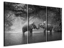 Laden Sie das Bild in den Galerie-Viewer, Leinwandbild 3-teilig Zwei Elefanten
