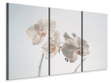 Laden Sie das Bild in den Galerie-Viewer, Leinwandbild 3-teilig Anmutige Orchideen