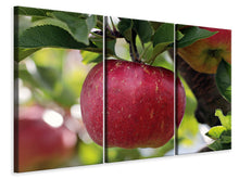 Laden Sie das Bild in den Galerie-Viewer, Leinwandbild 3-teilig Apfel in XXL