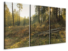Laden Sie das Bild in den Galerie-Viewer, Leinwandbild 3-teilig Arbeiten im Wald