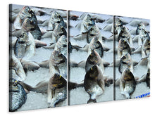 Laden Sie das Bild in den Galerie-Viewer, Leinwandbild 3-teilig Auf dem Fischmarkt