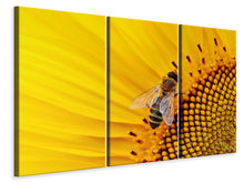 Laden Sie das Bild in den Galerie-Viewer, Leinwandbild 3-teilig Biene auf der Sonnenblume