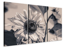 Laden Sie das Bild in den Galerie-Viewer, Leinwandbild 3-teilig Bienen auf der Sonnenblume sw
