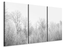 Laden Sie das Bild in den Galerie-Viewer, Leinwandbild 3-teilig Birken im Schnee