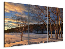 Laden Sie das Bild in den Galerie-Viewer, Leinwandbild 3-teilig Birken im Winter