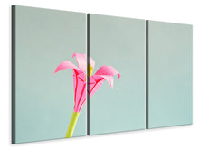 Laden Sie das Bild in den Galerie-Viewer, Leinwandbild 3-teilig Blumen Origami