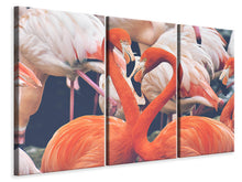 Laden Sie das Bild in den Galerie-Viewer, Leinwandbild 3-teilig Bunte Flamingos