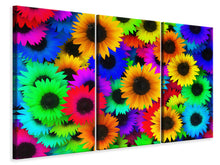 Laden Sie das Bild in den Galerie-Viewer, Leinwandbild 3-teilig Bunte Sonnenblumen