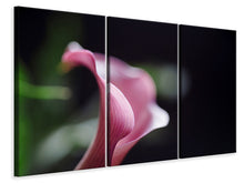 Laden Sie das Bild in den Galerie-Viewer, Leinwandbild 3-teilig Calla in lila