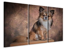 Laden Sie das Bild in den Galerie-Viewer, Leinwandbild 3-teilig Chihuahua Portrait
