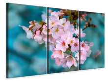 Laden Sie das Bild in den Galerie-Viewer, Leinwandbild 3-teilig Close up Blume