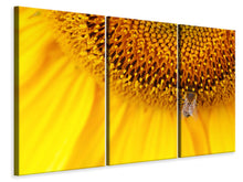 Laden Sie das Bild in den Galerie-Viewer, Leinwandbild 3-teilig Close up Gelbe Knospe
