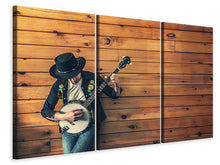 Laden Sie das Bild in den Galerie-Viewer, Leinwandbild 3-teilig Cooler Musiker