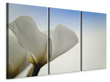 Laden Sie das Bild in den Galerie-Viewer, Leinwandbild 3-teilig Das Blatt einer Lilienblüte