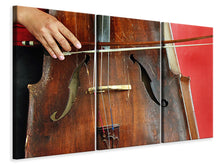 Laden Sie das Bild in den Galerie-Viewer, Leinwandbild 3-teilig Das Cello