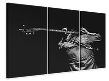 Laden Sie das Bild in den Galerie-Viewer, Leinwandbild 3-teilig Das Gitarren Spiel