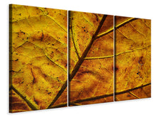 Laden Sie das Bild in den Galerie-Viewer, Leinwandbild 3-teilig Das Herbst Blatt