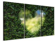 Laden Sie das Bild in den Galerie-Viewer, Leinwandbild 3-teilig Das Herz in der Hecke
