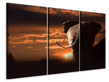 Laden Sie das Bild in den Galerie-Viewer, Leinwandbild 3-teilig Dem Sonnenuntergang entgegen