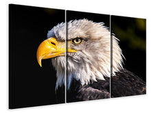 Laden Sie das Bild in den Galerie-Viewer, Leinwandbild 3-teilig Der Adler Kopf