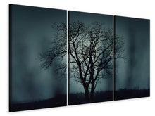 Laden Sie das Bild in den Galerie-Viewer, Leinwandbild 3-teilig Der Baum in Dunkelheit