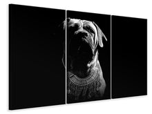 Laden Sie das Bild in den Galerie-Viewer, Leinwandbild 3-teilig Der Boerboel sw