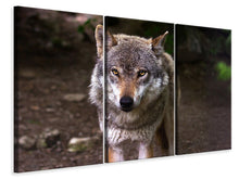 Laden Sie das Bild in den Galerie-Viewer, Leinwandbild 3-teilig Der böse Wolf