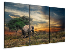 Laden Sie das Bild in den Galerie-Viewer, Leinwandbild 3-teilig Der Elefant im Sonnenuntergang