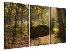 Laden Sie das Bild in den Galerie-Viewer, Leinwandbild 3-teilig Der Fels im Wald