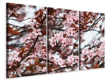 Laden Sie das Bild in den Galerie-Viewer, Leinwandbild 3-teilig Der Frühling ist da