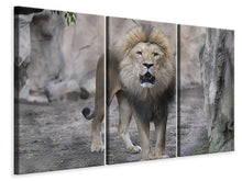 Laden Sie das Bild in den Galerie-Viewer, Leinwandbild 3-teilig Der Löwe und sein Reich
