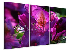 Laden Sie das Bild in den Galerie-Viewer, Leinwandbild 3-teilig Der Rhododendron