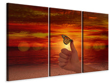 Laden Sie das Bild in den Galerie-Viewer, Leinwandbild 3-teilig Der Schmetterling im Abendlicht