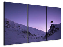 Laden Sie das Bild in den Galerie-Viewer, Leinwandbild 3-teilig Der Schneewanderer