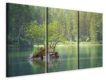 Laden Sie das Bild in den Galerie-Viewer, Leinwandbild 3-teilig Der Teich im Wald